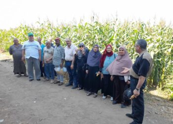 ندوة إرشادية بزراعة الغربية عن تدوير مخلفات الذرة