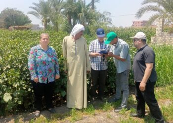 زراعة بني سويف تقوم بالمرور على الزراعات الصيفية