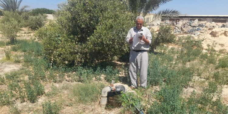 زراعة جنوب سيناء: القطاع الزراعى برأس سدر يتابع الأعمال الزراعية بالوديان المختلفة 1 القطاع الزراعى برأس سدر يتابع الأعمال الزراعية بوديان زراعة جنوب سيناء