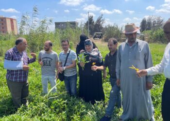 زراعة دمياط تعقد 4 ندوات إرشادية