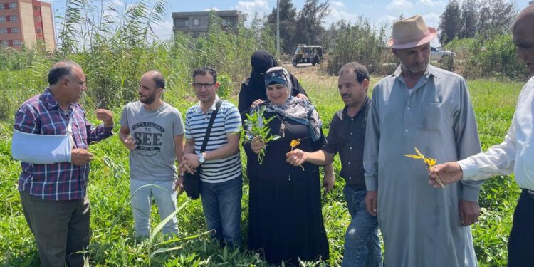زراعة دمياط تعقد 4 ندوات إرشادية