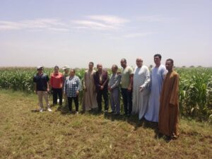 زراعة سوهاج تنظم فريق إرشادي عن تحميل محاصيل الخضر على الزراعات الصيفية