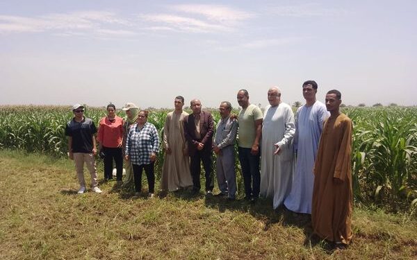 « زراعة سوهاج »: تنظم فريق إرشادي لمحصول القطن ..وندوة عن الزراعات التحميلية والتعاقدية 1 زراعة سوهاج تنظم فريق إرشادي عن تحميل محاصيل الخضر على الزراعات الصيفية