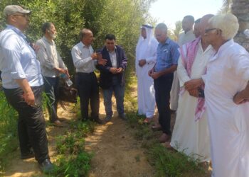 فريق إرشادي لمحصول الزيتون بزراعة شمال سيناء