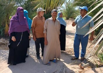 فريق إرشادي ريفي بزراعة جنوب سيناء