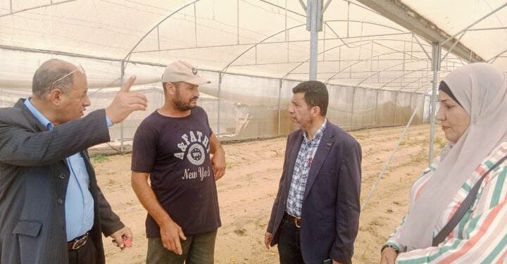 زراعة بورسعيد تنظم 3 فرق إرشادية لمحصولي القطن والأرز والصوب الزراعية 1 متابعة الصوب الزراعية بزراعة بورسعيد