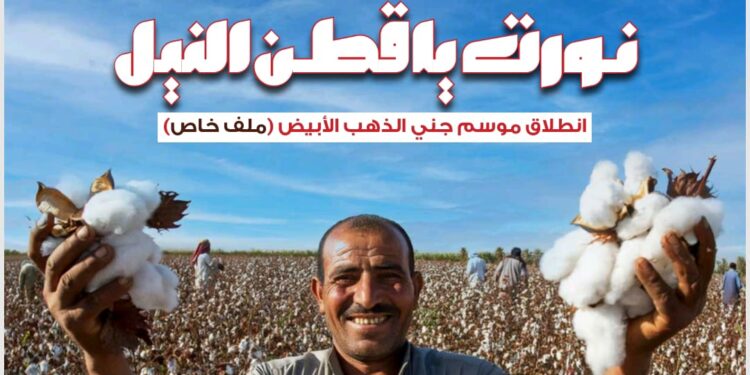 "الزراعة" تصدر العدد ٢١ من مجلتها الشهرية «MALR» عدد سبتمبر ٢٠٢٤ 1 “الزراعة” تصدر العدد ٢١ من مجلتها الشهرية «MALR» عدد سبتمبر ٢٠٢٤