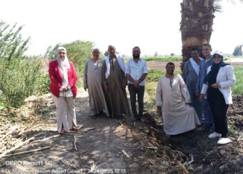 المركزي للنخيل