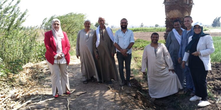 "الأصناف الاقتصادية من نخيل البرحي والمجدول والسيوي" ندوة إرشادية المركزي للنخيل بالمنيا 1 المركزي للنخيل