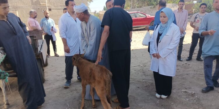 الصحة الحيوانية يفحص اكثر من 1000 راس ماشية في قوافل بيطرية في 3 محافظات