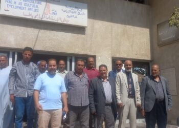 زراعة الفيوم