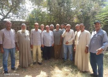 زراعة بني سويف