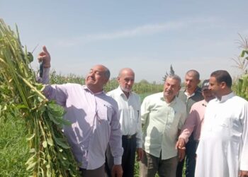 زراعة الشرقية