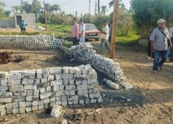 زراعة الفيوم