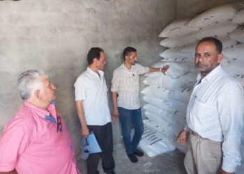 زراعة الشرقية