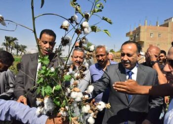 زراعة أسيوط