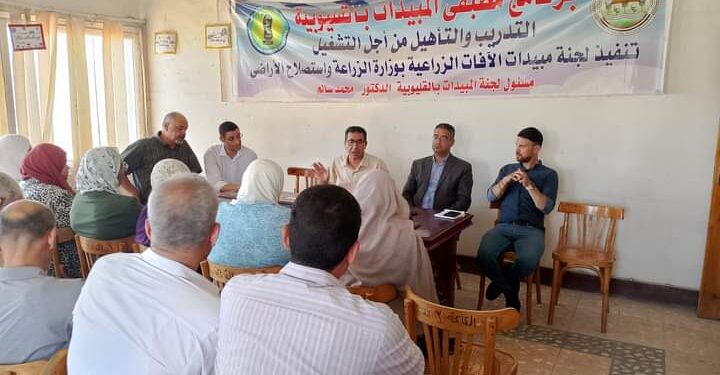 زراعة القليوبية