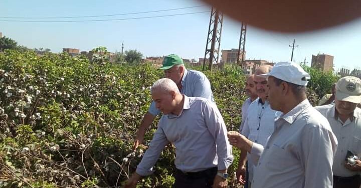 زراعة الشرقية تقوم بالمرور على زراعات القطن بالزقازيق وديرب نجم 1 زراعة الشرقية