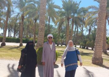 زراعة السويس