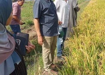 زراعة الغربية