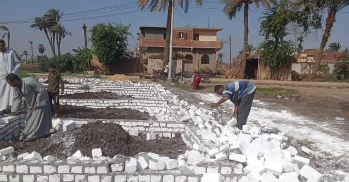 «زراعة بني سويف»: 4 توجيهات للإدارات والجمعيات الزراعية للموسم الشتوي..وإزالة 47 حالة تعدي 1 زراعة بني سويف