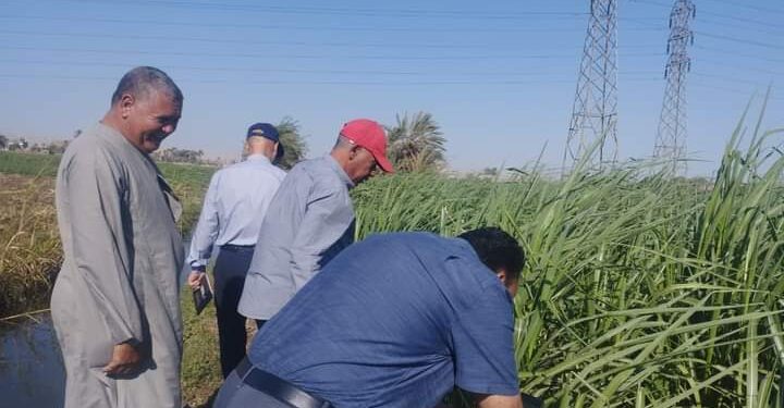 «زراعة سوهاج» توصي المزارعين بأهمية مكافحة الآفات وتجهيز الأراضي للموسم الشتوي 1 زراعة سوهاج