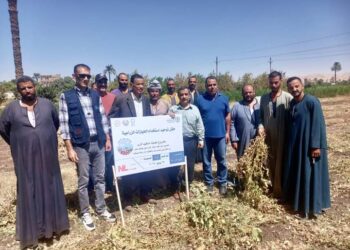 زراعة أسيوط