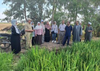 المراكز الإرشادية