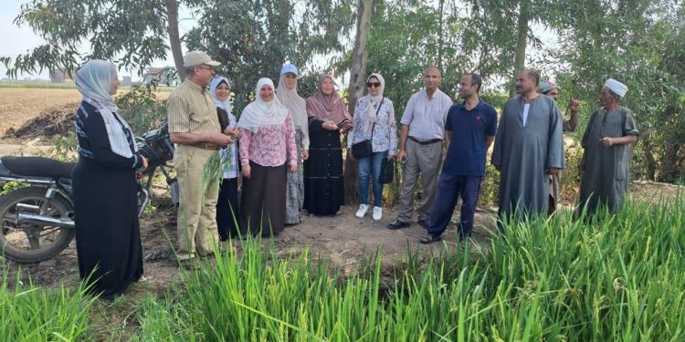 حصاد أنشطة مبادرة المراكز الإرشادية الزراعية خلال شهر أغسطس 2024 1 المراكز الإرشادية