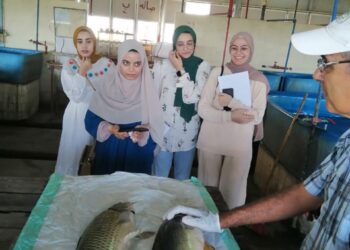 جهاز تنمية البحيرات ينفذ تدريب عملي لطلاب كلية زراعة المنصورة