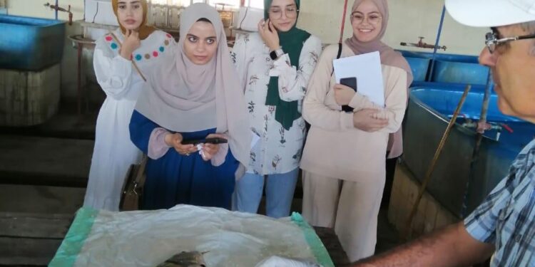 «تنمية البحيرات »:يختتم التدريب لطلاب زراعة المنصورة 1 جهاز تنمية البحيرات ينفذ تدريب عملي لطلاب كلية زراعة المنصورة