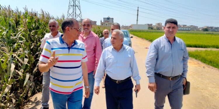 «زراعة البحيرة»: تتابع محصولي الأرز والذرة في 9 إدارات زراعية 1 زراعة البحيرة