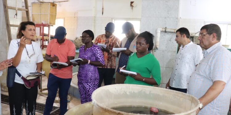 الثروة السمكية