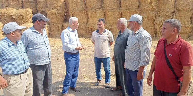 «زراعة الشرقية»: تتابع صرف الأسمدة بديرب نجم..وحصاد الأرز ببلبيس 1 زراعة الشرقية