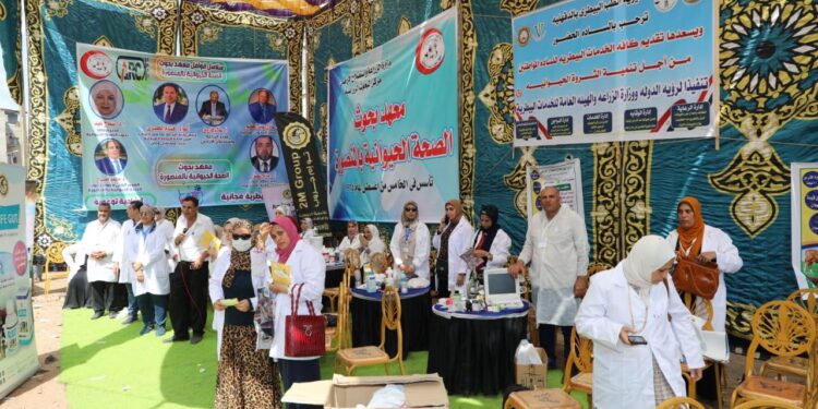 احتفالا بعيد الفلاح، "الخدمات البيطرية" تفحص وتعالج 170 ألف رأس ماشية مجانا لصغار المزارعين 1 احتفالا بعيد الفلاح، “الخدمات البيطرية” تفحص وتعالج 170 ألف رأس ماشية مجانا لصغار المزارعين