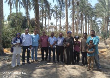 المركزي للنخيل بالمنيا ينظم محاضرة ارشادية عن الأصناف الاقتصادية من نخيل البرحي والمجدول