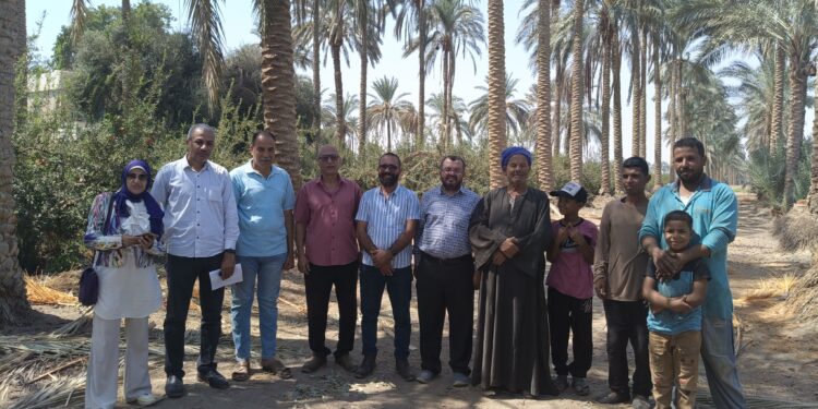 المركزي للنخيل بالمنيا ينظم محاضرة ارشادية عن الأصناف الاقتصادية من نخيل البرحي والمجدول 1 المركزي للنخيل بالمنيا ينظم محاضرة ارشادية عن الأصناف الاقتصادية من نخيل البرحي والمجدول