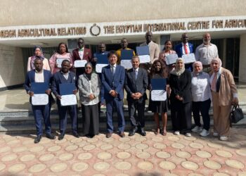 البرامج التدريبية للمبعوثين الأفارقة