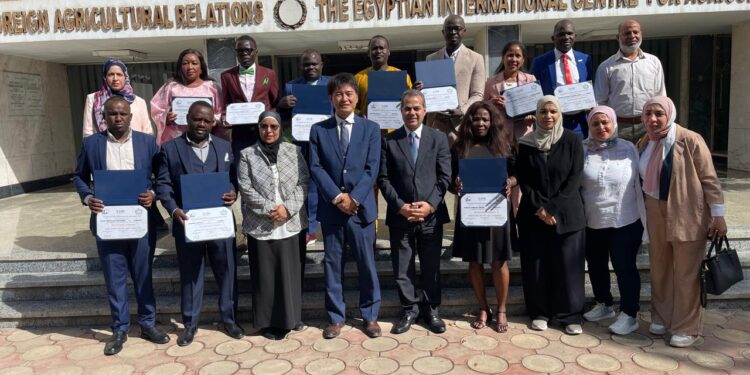 البرامج التدريبية للمبعوثين الأفارقة