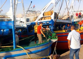 تنمية البحيرات والثروة السمكية