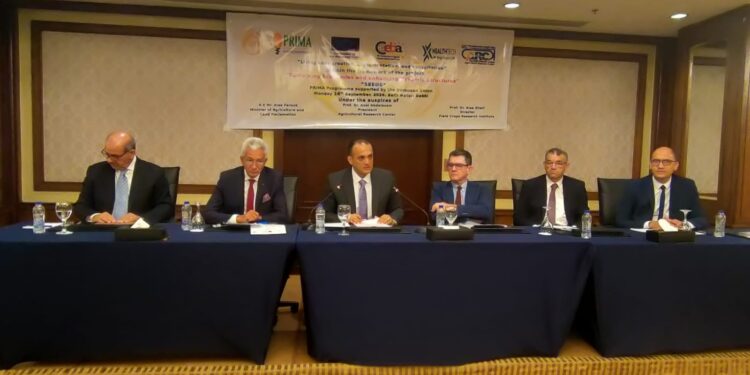 "بحوث المحاصيل الحقلية" يشارك في ورشة عمل بعنوان استدامة الاقتصادات وتعزيز الهياكل الديناميكية 1 “بحوث المحاصيل الحقلية” يشارك في ورشة عمل بعنوان استدامة الاقتصادات وتعزيز الهياكل الديناميكية