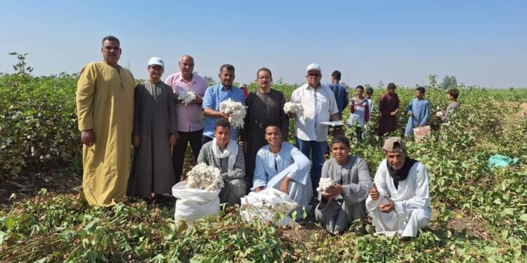 حصاد أنشطة مبادرة المراكز الإرشادية الزراعية خلال النصف الأول من شهر سبتمبر 1 حصاد أنشطة مبادرة المراكز الإرشادية الزراعية خلال النصف الأول من شهر سبتمبر