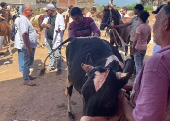 “بحوث الصحة الحيوانية” ينفذ قوافل بيطرية وإرشادية في 9 محافظات