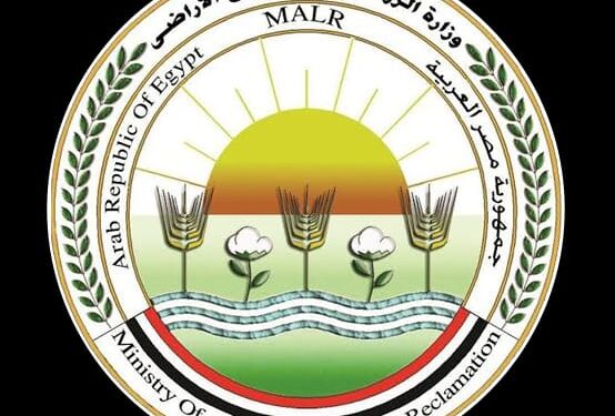 وزارة الزراعة تنفي قطع أشجار حديقة الأورمان