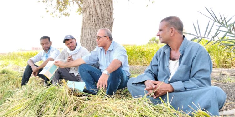 زراعة الشرقية