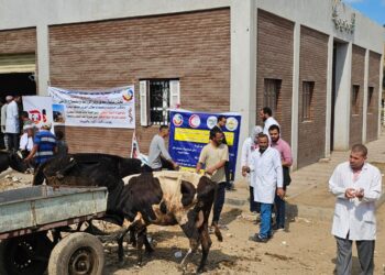 الصحة الحيوانية