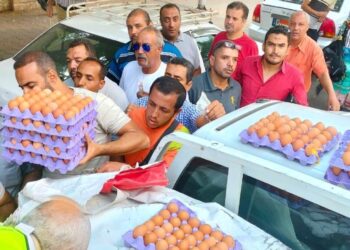في إطار مبادرة رئيس الجمهورية “بداية”.. “الزراعة” تطلق منافذ متحركة لبيع بيض المائدة بأسعار مخفضة