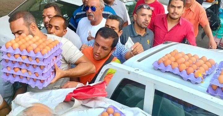 في إطار مبادرة رئيس الجمهورية “بداية”.. “الزراعة” تطلق منافذ متحركة لبيع بيض المائدة بأسعار مخفضة