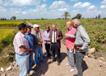 زراعة البحيرة