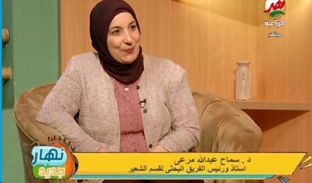 محصول الشعير..الدكتورة سماح عبدالله:6 فوائد لـ«أسد الصحراء»..و 3 استخدامات رئيسية 1 محصول الشعير
